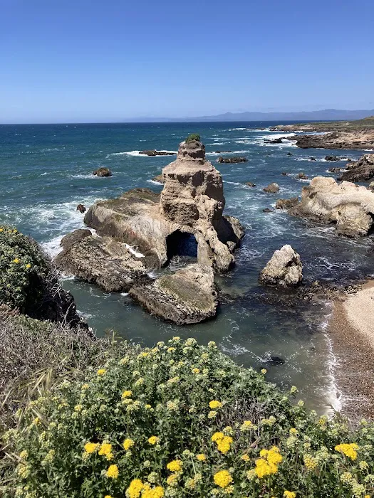 Islay Creek Campground Picture 6