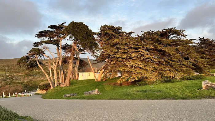 Islay Creek Campground Picture 1