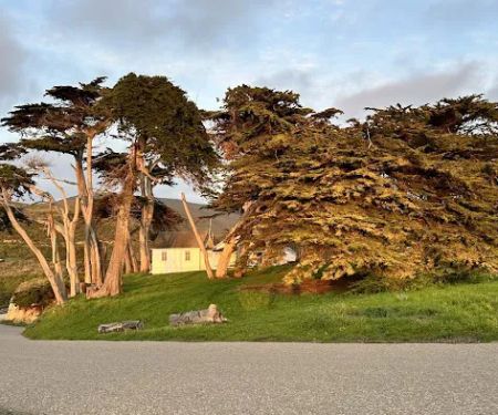 Islay Creek Campground
