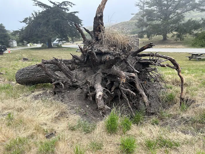 Islay Creek Campground Picture 8