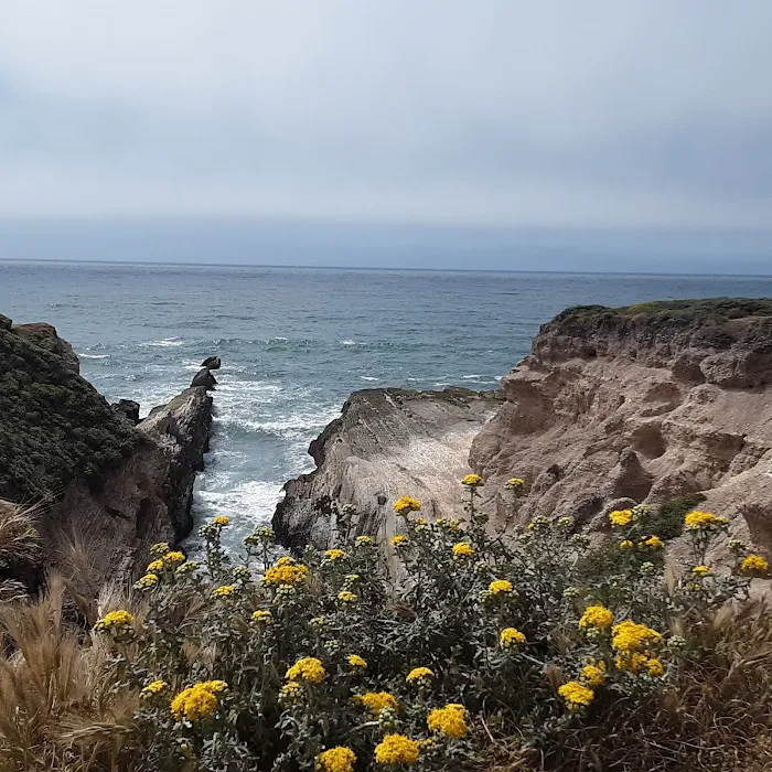 Islay Creek Campground Picture 10
