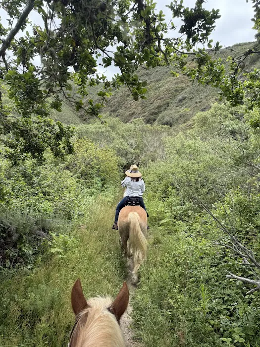 Montana De Oro Horse Camp Picture 7