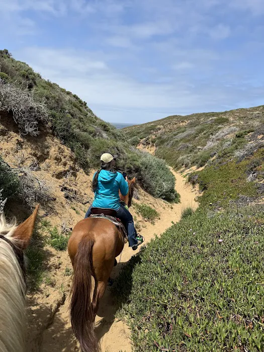 Montana De Oro Horse Camp Picture 6