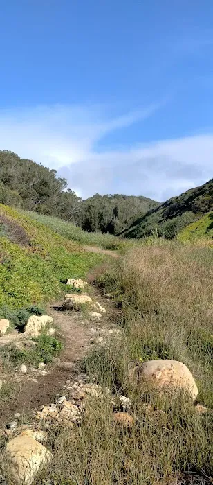 Montana De Oro Horse Camp Picture 2