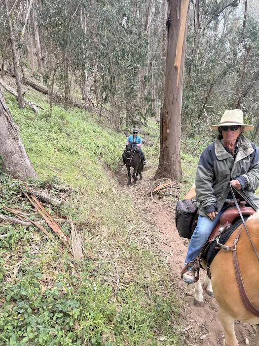 Montana De Oro Horse Camp Picture 10