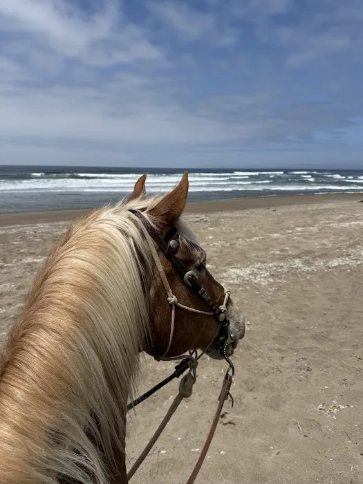 Montana De Oro Horse Camp Picture 3