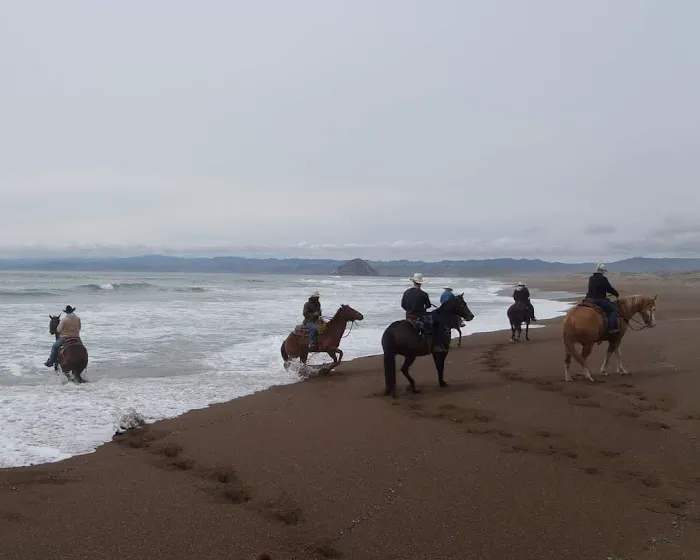 Montana De Oro Horse Camp Picture 4