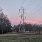 White Oak Investments