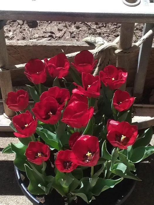 White Oak Investments Picture 2