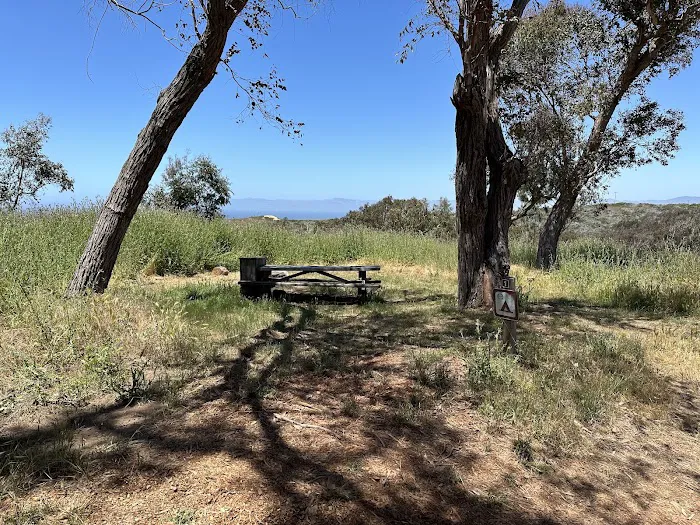 Environmental Camp #1 Picture 1