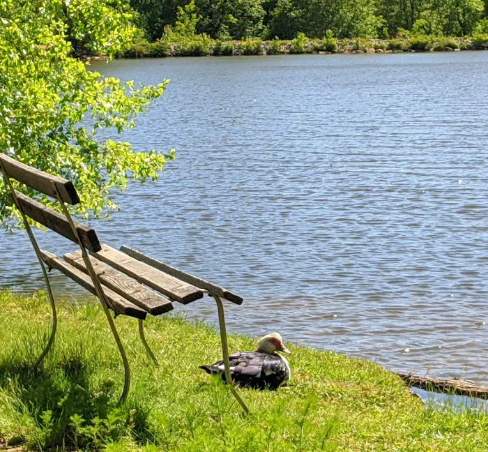 Sugar Lake RV Park (55+ Park) Picture 10