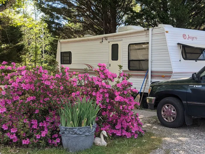 Sugar Lake RV Park (55+ Park) Picture 7