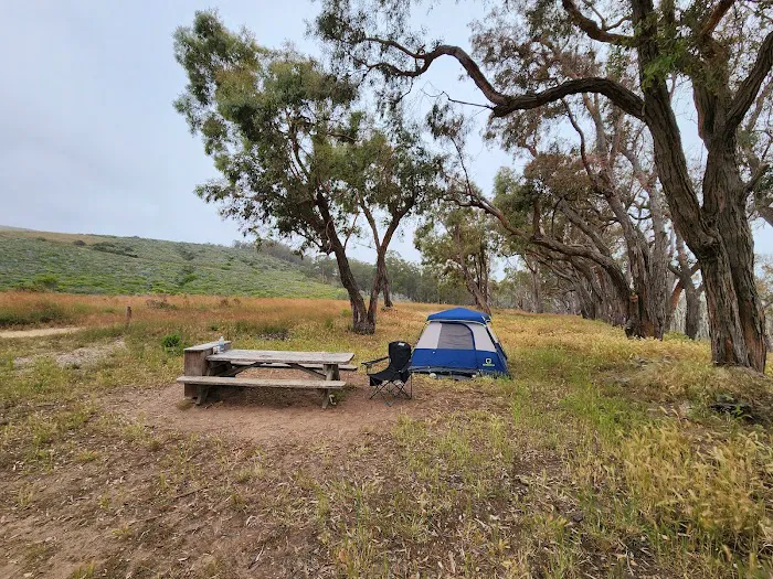 Environmental camp #2 Picture 5