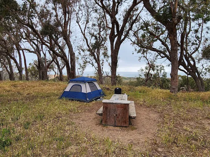 Environmental camp #2 Picture 7