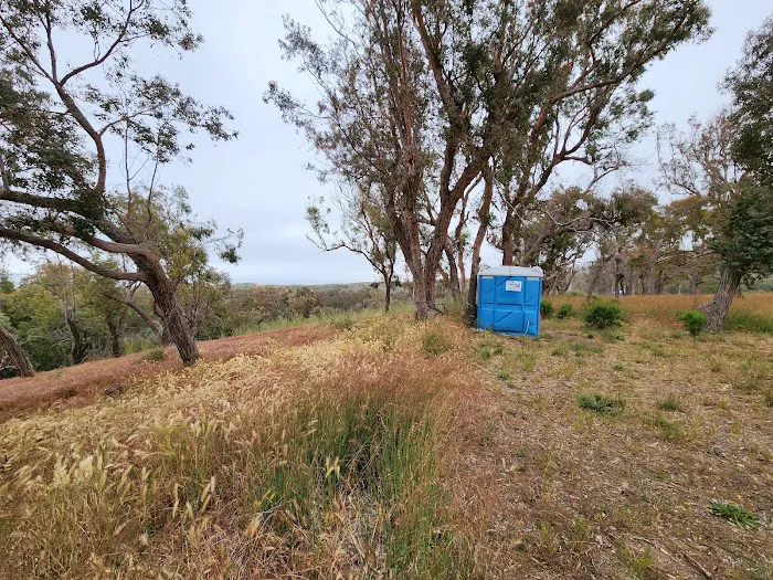 Environmental camp #2 Picture 2