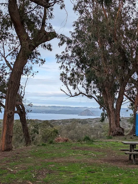 Environmental camp #2 Picture 8