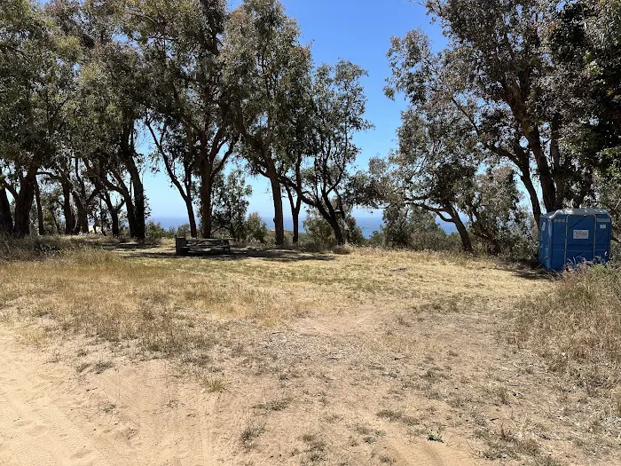 Environmental camp #2 Picture 10