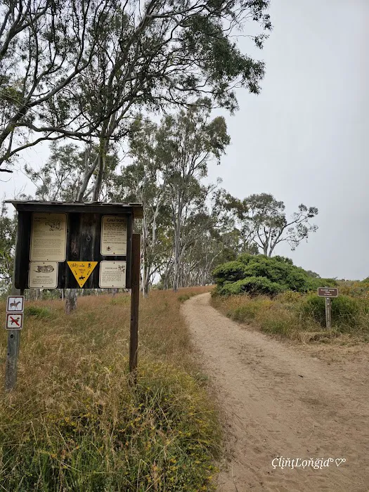 Environmental camp #2 Picture 1