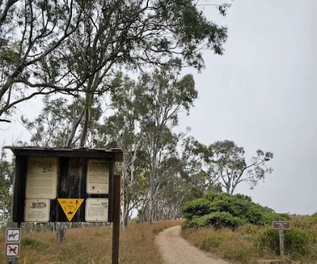 Environmental camp #2