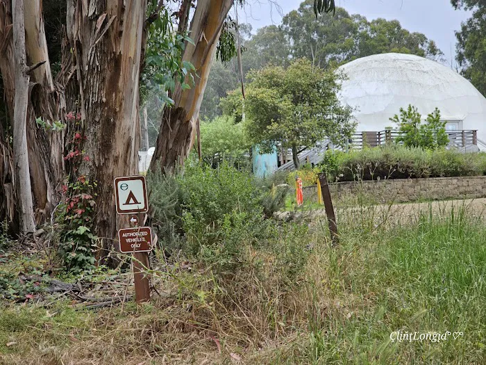 Environmental camp #2 Picture 9