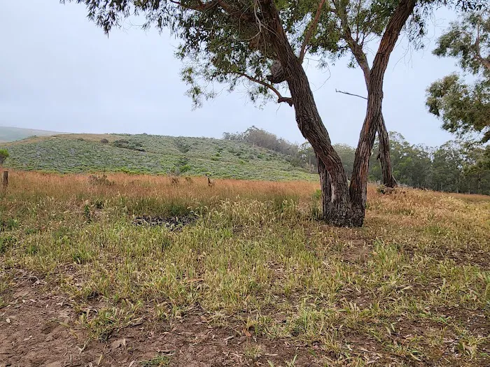 Environmental camp #2 Picture 3