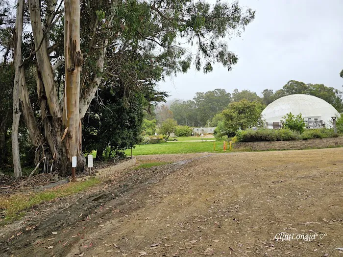 Environmental camp #2 Picture 6