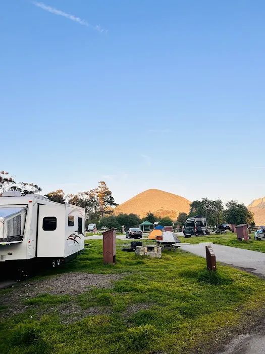 Morro Bay State Park Campground Picture 2