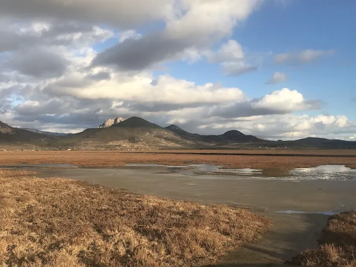 Morro Bay State Park Campground Picture 7