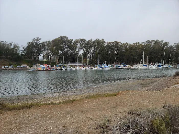 Morro Bay State Park Campground Picture 5