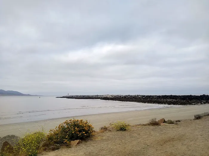 Morro Bay State Park Campground Picture 10
