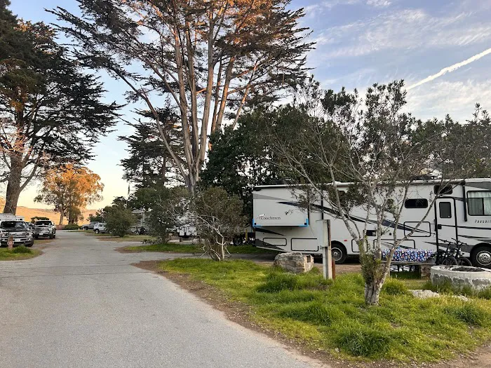 Morro Bay State Park Campground Picture 6