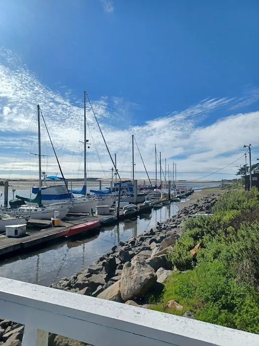 Morro Bay State Park Campground Picture 8