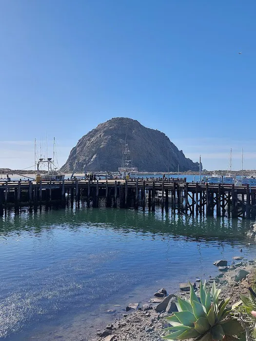 Morro Bay State Park Campground Picture 9