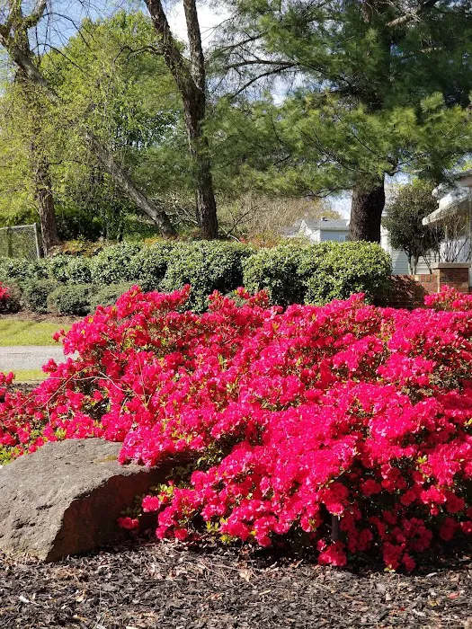 Westgate Mobile Manor Inc Picture 3