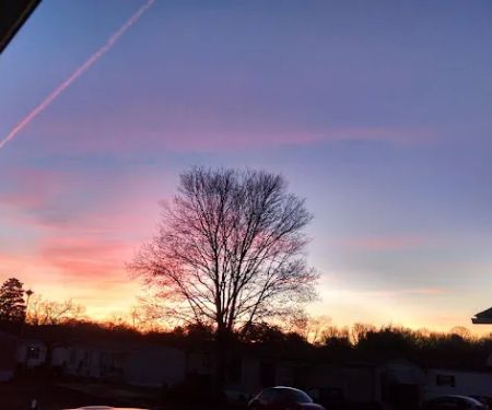 Westgate Mobile Manor Inc