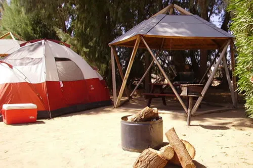 Barstow / Calico KOA Holiday Picture 5