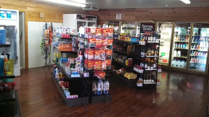 Barstow / Calico KOA Holiday Picture 6