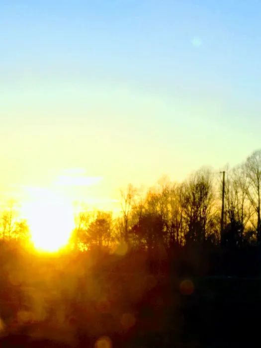 Park West Mobile Homes Park Picture 5