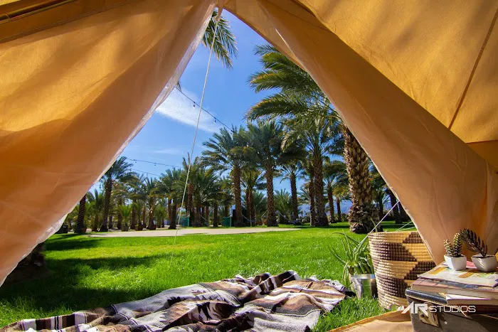 Festival Campgrounds Picture 10