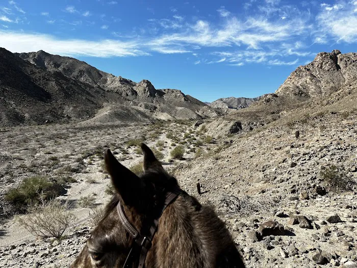 Lake Cahuilla Campground Picture 7