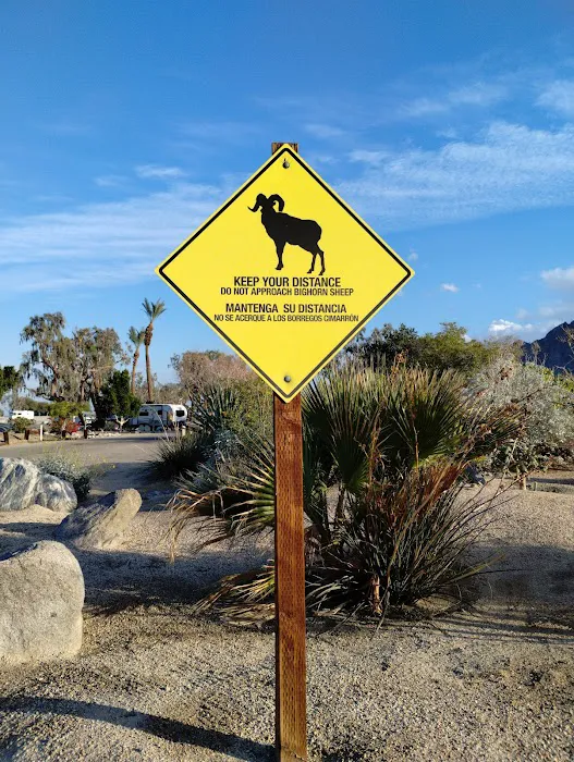 Lake Cahuilla Campground Picture 8