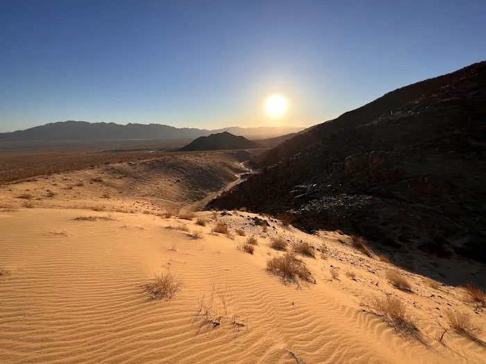 Wonder Valley USA Picture 4