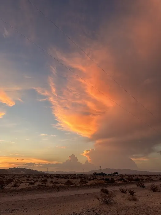 Wonder Valley USA Picture 3