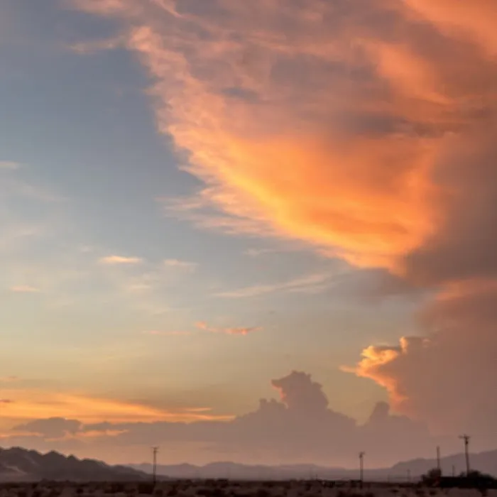 Wonder Valley USA Picture 5