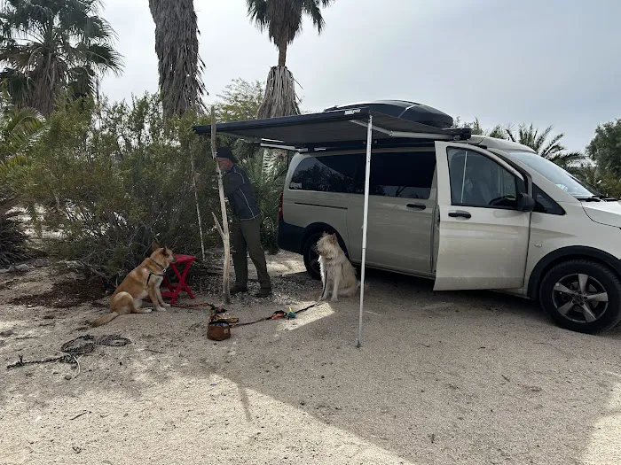 Sky Fire Ranch Picture 3