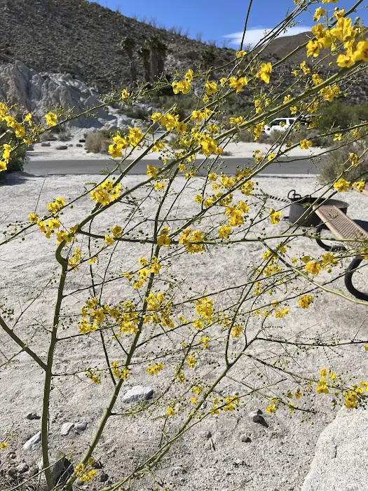 Agua Caliente Campground Entry Gate Picture 3