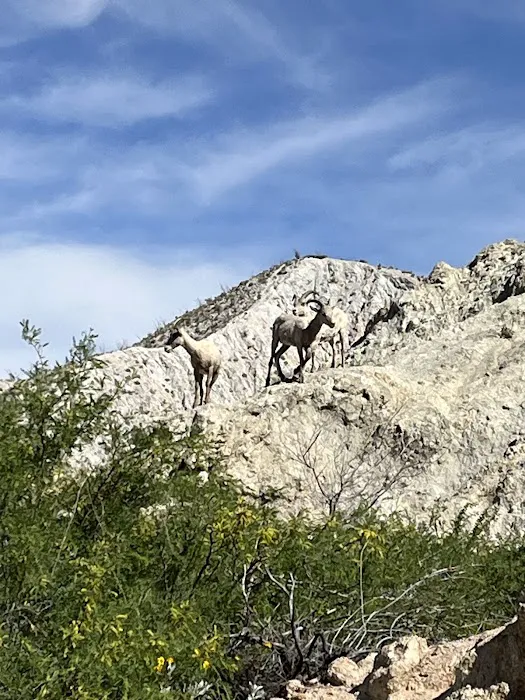 Agua Caliente Campground Entry Gate Picture 1