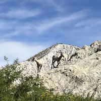 Agua Caliente Campground Entry Gate ico