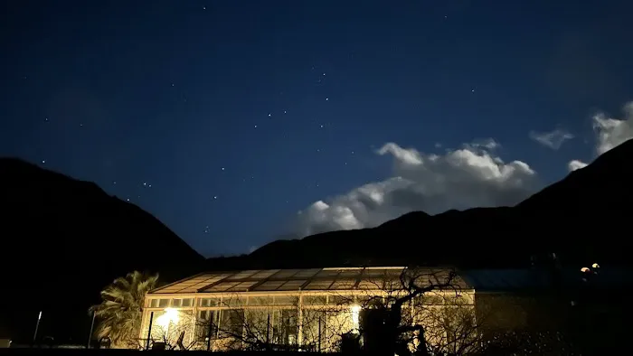 Agua Caliente Campground Picture 3