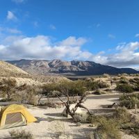 Agua Caliente Campground ico